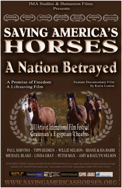 Film Poster © Humanion Films
